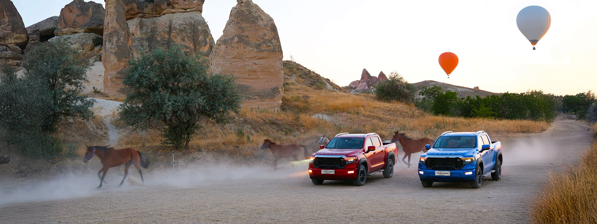 Foton Tunland V9